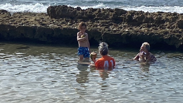 people with coconuts in the water at the beach